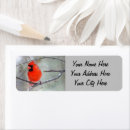 Search for male cardinal return address labels Birding