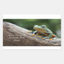 Search for cool frog stickers Cute