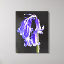 Search for bluebell canvas prints Woods
