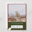 Search for snowy owl christmas cards Bird