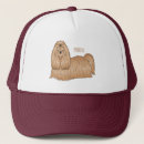 Search for shih hats Pet