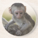 Search for reserve coasters Baby