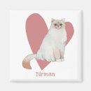 Search for kitty magnets Feline