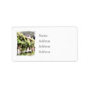 Search for architecture return address labels Flowers