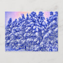 Search for conifer postcards Snow