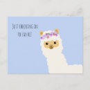 Search for whole cards Whole llama fun