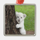 Search for south africa christmas tree decorations Wildlife