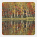 Search for falls lake stickers Tree