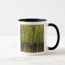 Search for cedar tree mugs Evergreen