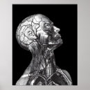 Search for chest art Anatomy