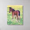 Search for dandelion canvas prints Meadow