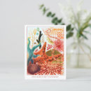 Search for great barrier reef postcards Retro