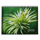 Search for 2010 photography Flower