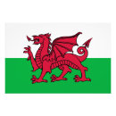 Search for celtic art Red dragon