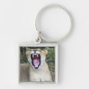 Search for mara key rings Wildlife