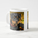Search for sleepy dog mugs Animal