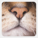 Search for body image stickers Animal