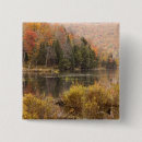 Search for autumn landscape badges Forest