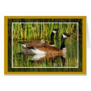 Search for canada goose cards Gosling
