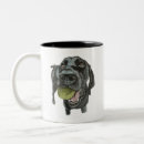 Search for gsp mugs Pointer
