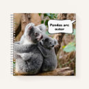 Search for koala notebooks Cute