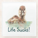 Search for angry coasters Humour