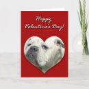 Search for english bulldog valentines day cards Dogs