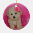 Search for maltipoo christmas tree decorations Cute