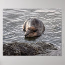 Search for beaver art Ocean