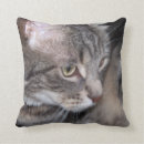 Search for house cat cushions Feline