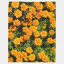 Search for marigolds blankets Flower