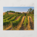 Search for ava postcards Eastern