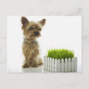 Search for for neighbours postcards Green
