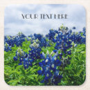Search for blue flower coasters Texas