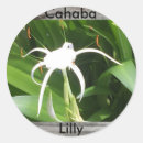 Search for rapid stickers River