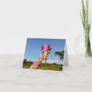 Search for giraffe note cards Africa