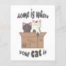 Search for feline flyers Kitten