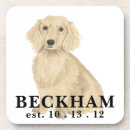 Search for dachshund coasters Cream