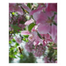 Search for crab apple art Tree