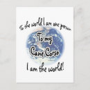 Search for cane postcards Corso