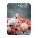Search for smithsonian cards Snow