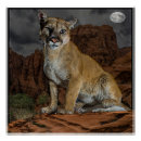 Search for puma mountain cat posters Wildlife
