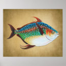 Search for marine biology posters Ocean life