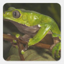 Search for 3 leaf stickers Green
