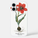 Search for perennial iphone cases Nature