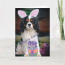 Search for egg hunt cards Dogs