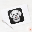 Search for bichon dog stickers Pets