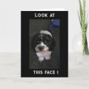 Search for trainer birthday cards Veterinarian