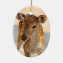 Search for fawn deer christmas tree decorations Wildlife