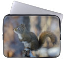 Search for squirrel laptop cases Grey
